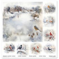 Colección Botanical Garden in Winter. 31 x 32cm.