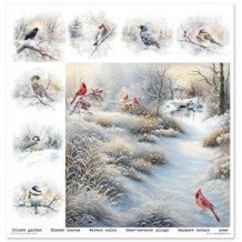 Colección Botanical Garden in Winter. 31 x 32cm.