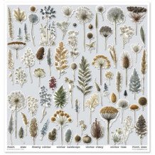 Colección Botanical Garden in Winter. 31 x 32cm.