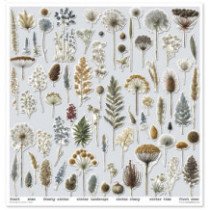 Colección Botanical Garden in Winter. 31 x 32cm.