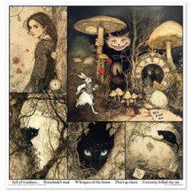 Colección Alice's Magic - A Tale of a World That has Forgotten Logic vol. 1. 31 x 32cm.