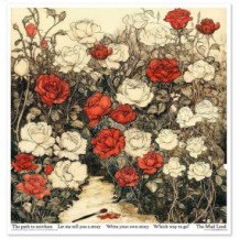 Colección Alice's Magic - A Tale of a World That has Forgotten Logic vol. 2. 31 x 32cm.