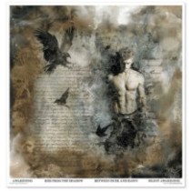 Colección Light & Shadow Parte I. 31 x 32cm.