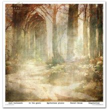 Colección Mysterious Forest. 31 x 32cm.