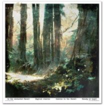 Colección Mysterious Forest. 31 x 32cm.