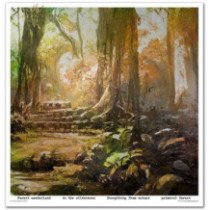 Colección Mysterious Forest. 31 x 32cm.