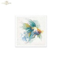 Set de 6 Hojas Mini. Papel de Arroz. ilustraciones de Peces Tropicales. 14,8 x 14,8cm.