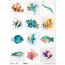Papel de arroz A3. Peces Tropicales. 29,7 x 42 cm.