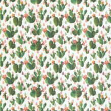 Set de 5 hojas Book Club 30 x 30