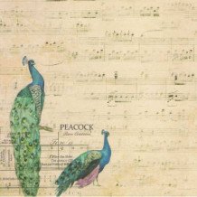 Set de 5 hojas Bird Song 30 x 30 cm