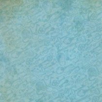 Set de 5 hojas Bird Song 30 x 30 cm