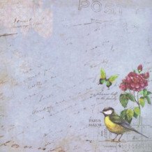 Set de 5 hojas Bird Song 30 x 30 cm