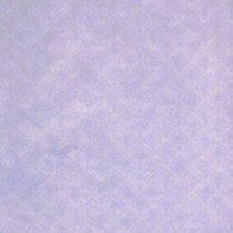 Set de 5 hojas Bird Song 30 x 30 cm